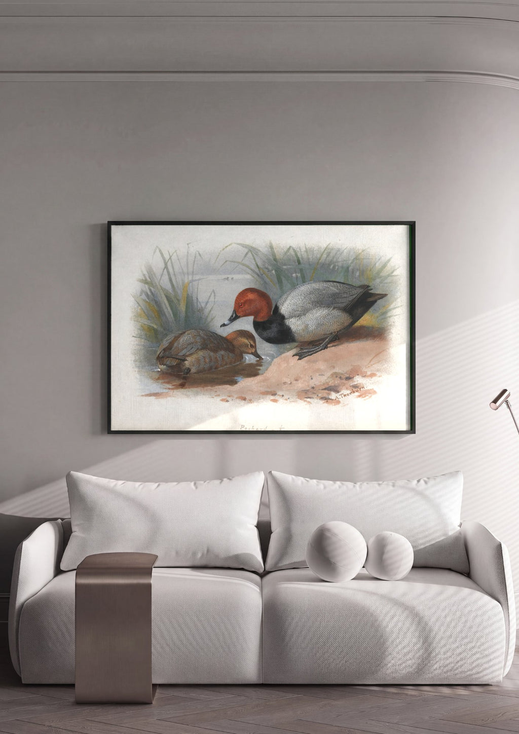 Quadro Decorativo 'Pochard' - Archibald Thorburn em ambiente decorado