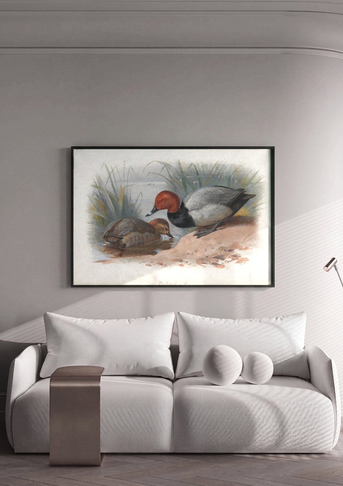 Quadro Decorativo 'Pochard' - Archibald Thorburn em ambiente decorado