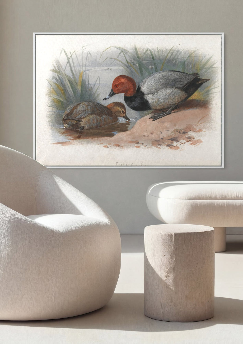 Quadro Decorativo 'Pochard' - Archibald Thorburn em ambiente decorado