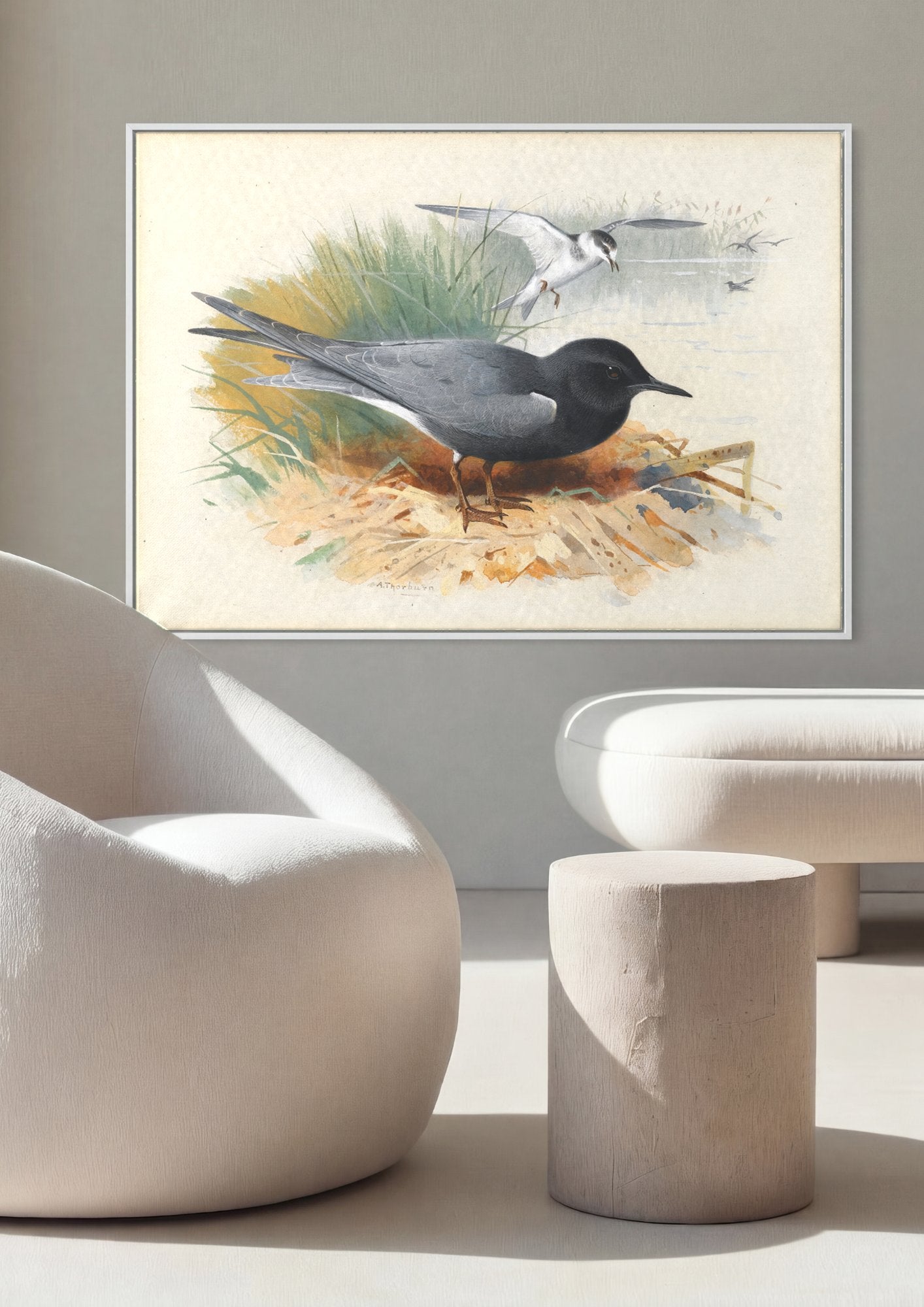 Quadro Decorativo Aves Aquáticas - Archibald Thorburn em ambiente decorado