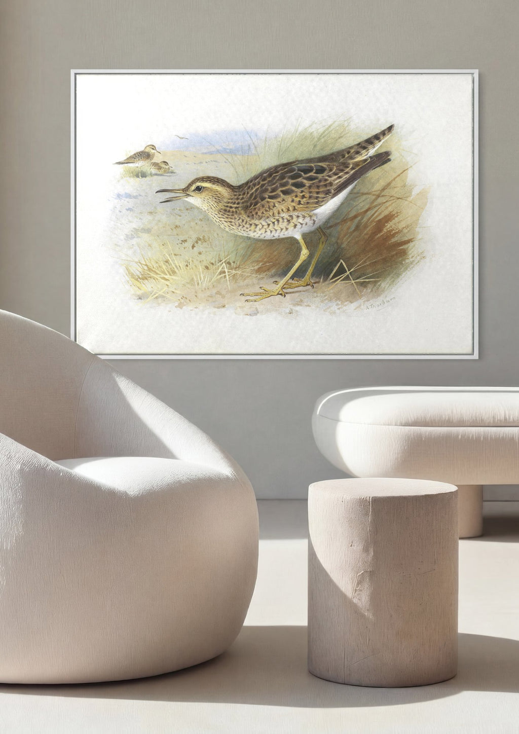 Quadro Decorativo Aves Costeiras – Archibald Thorburn em ambiente decorado