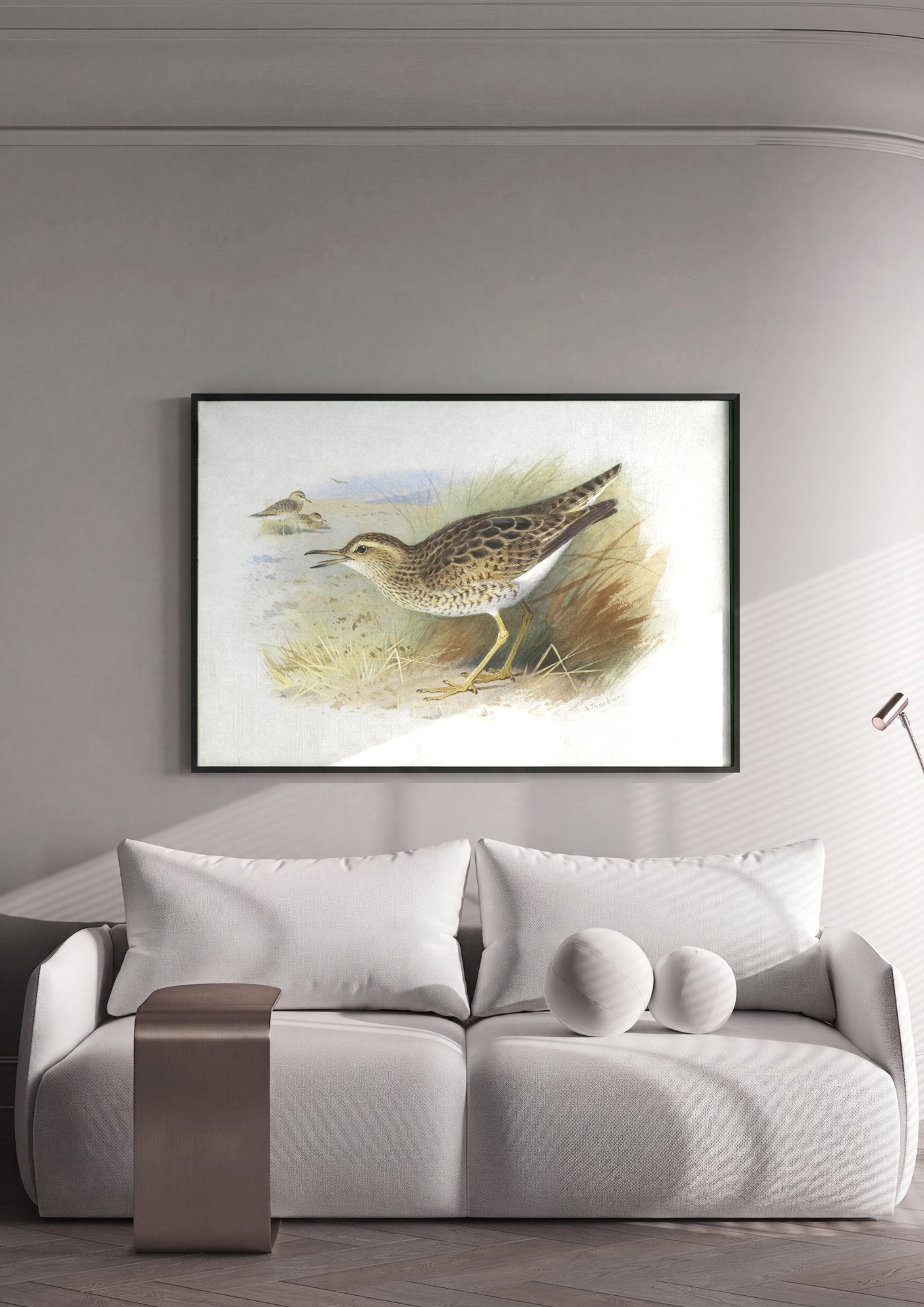 Quadro Decorativo Aves Costeiras – Archibald Thorburn em ambiente decorado