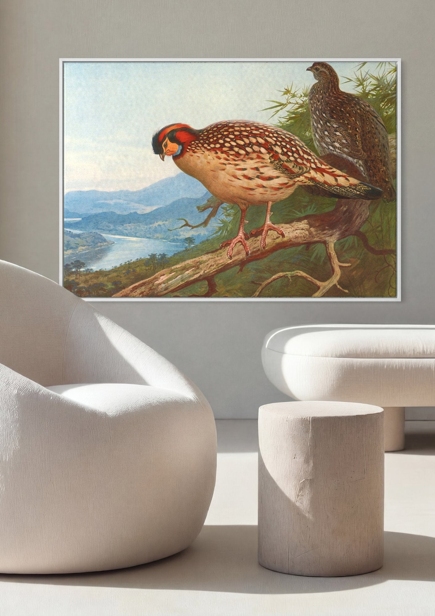 Quadro Decorativo Aves Exóticas em Paisagem - Thorburn em ambiente decorado