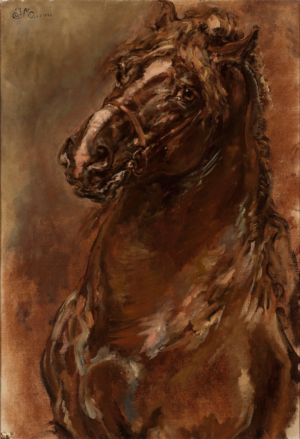 Pintura a óleo atribuída a Jan Matejko de um cavalo marrom com arreios, de perfil. A cabeça do cavalo está em destaque, com pinceladas soltas e expressivas, em tons terrosos e quentes.
