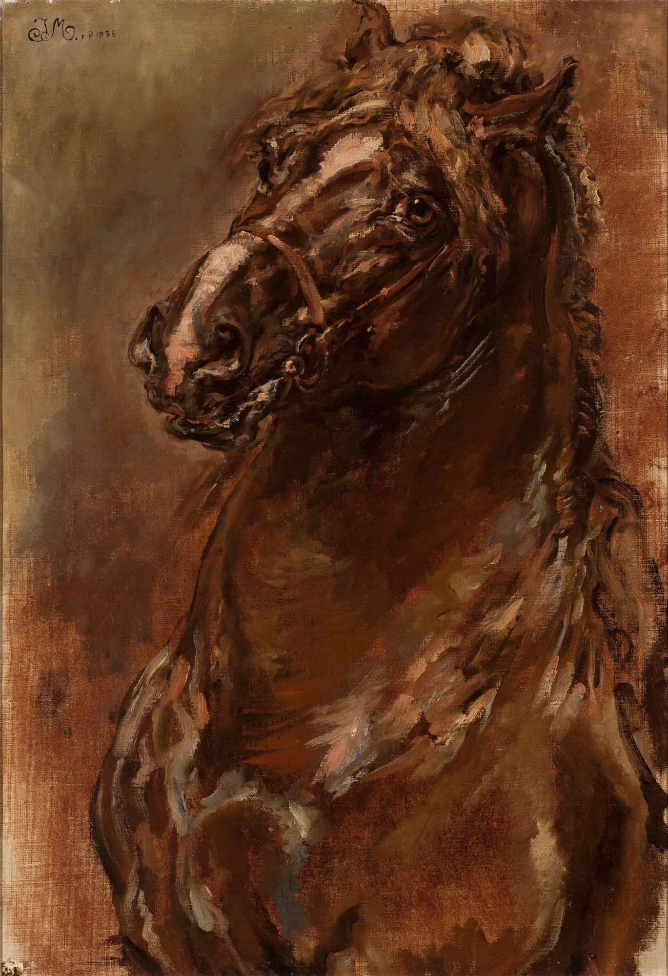 Pintura a óleo atribuída a Jan Matejko de um cavalo marrom com arreios, de perfil. A cabeça do cavalo está em destaque, com pinceladas soltas e expressivas, em tons terrosos e quentes.