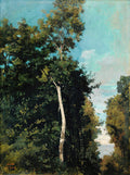 Pintura a óleo de uma paisagem densamente arborizada, com um tronco de árvore claro em primeiro plano e um céu azul visível entre as copas das árvores. Assinatura 'COROT' no canto inferior esquerdo.