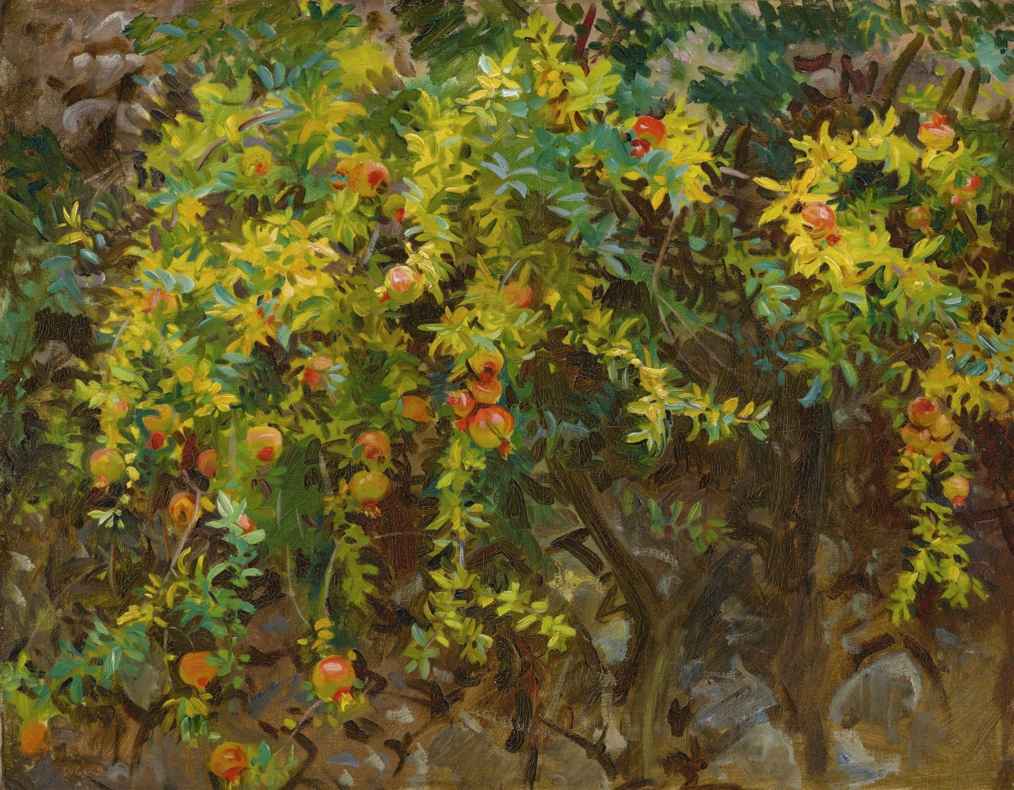 Pintura a óleo de John Singer Sargent, 'Apanhador de Romãs', mostrando um arbusto denso de folhas verdes e amarelas com romãs vermelhas e alaranjadas penduradas. A luz solar brilha através das folhas, criando um efeito luminoso e vibrante. A técnica de pinceladas soltas e a riqueza de cores evocam uma atmosfera de verão e abundância.