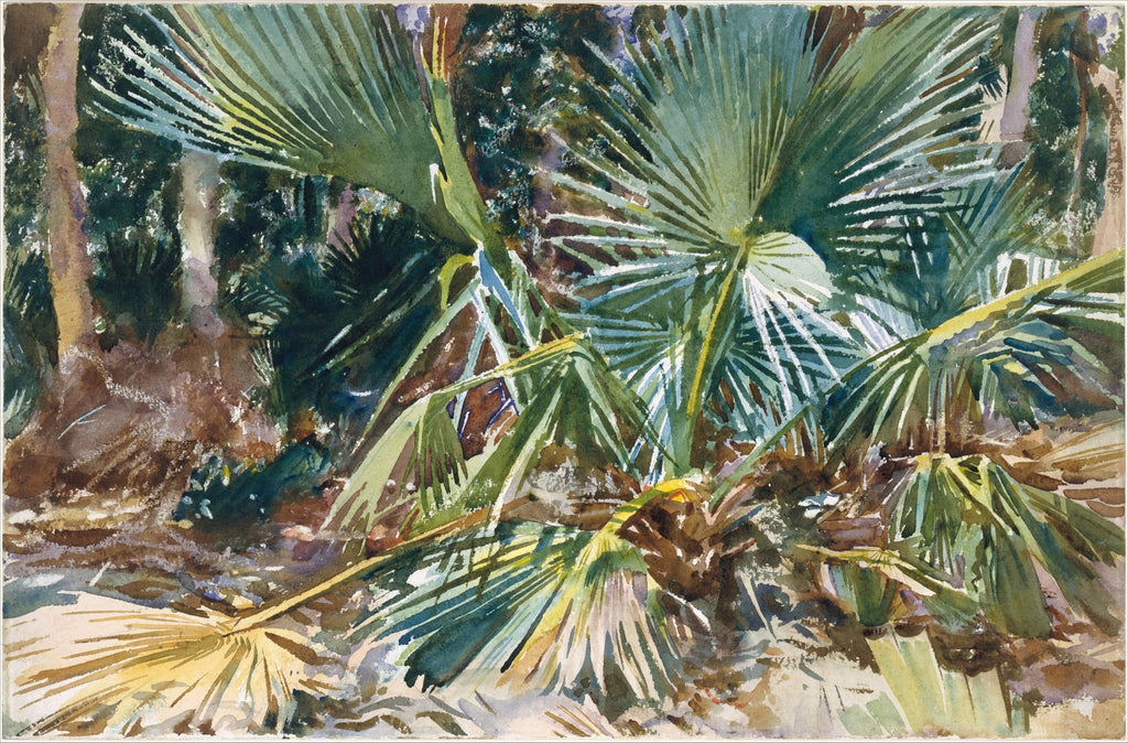 Aquarela de John Singer Sargent, 'Palms, Florida', mostrando palmeiras verdes e amarelas com luz solar intensa e sombras profundas, em tons de verde, marrom e amarelo, com pinceladas soltas e vibrantes.