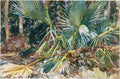 Aquarela de John Singer Sargent, 'Palms, Florida', mostrando palmeiras verdes e amarelas com luz solar intensa e sombras profundas, em tons de verde, marrom e amarelo, com pinceladas soltas e vibrantes.