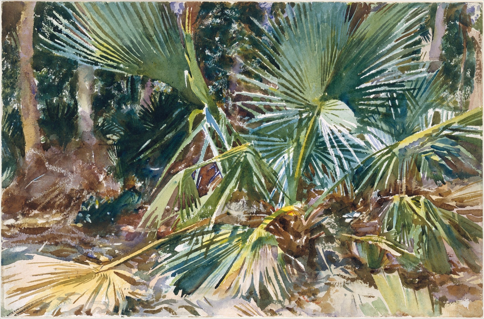 Aquarela de John Singer Sargent, 'Palms, Florida', mostrando palmeiras verdes e amarelas com luz solar intensa e sombras profundas, em tons de verde, marrom e amarelo, com pinceladas soltas e vibrantes.
