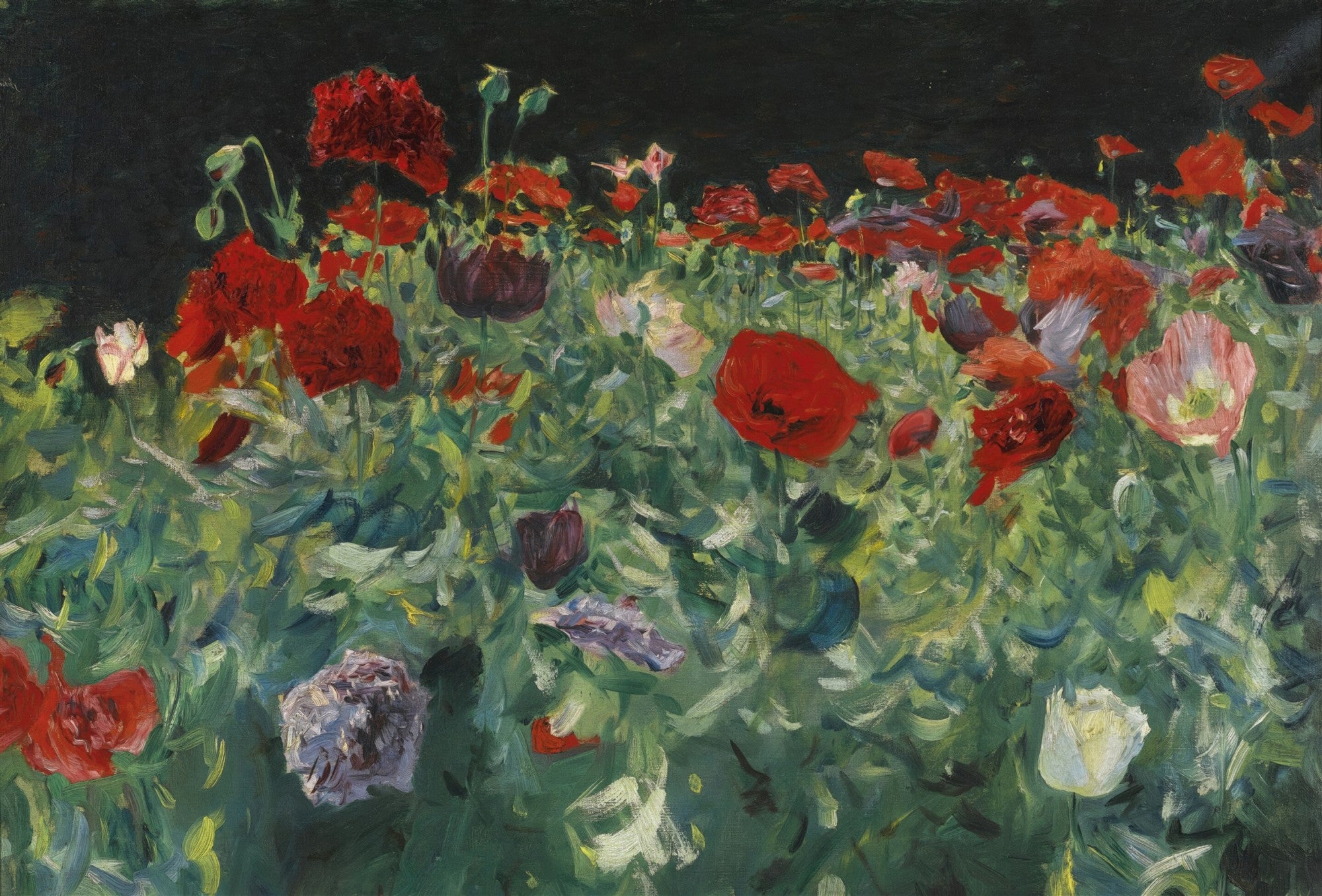 Pintura a óleo de John Singer Sargent mostrando um campo denso de papoulas vermelhas e algumas brancas e roxas, com folhagem verde exuberante e um fundo escuro.