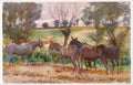 Aquarela de John Singer Sargent mostrando um grupo de mulas em um campo verde e marrom, sob árvores esparsas e um céu nublado, com pinceladas fluidas e cores terrosas.