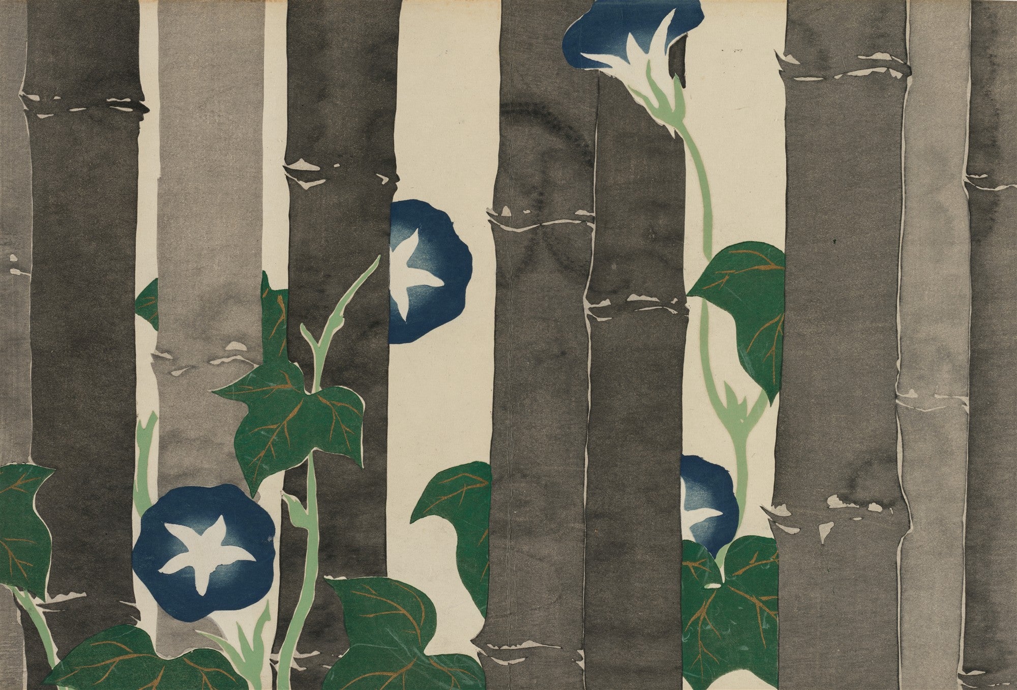 Quadro decorativo com gravura japonesa de glórias-da-manhã azuis e brancas em meio a caules verticais de bambu cinza e preto, estilo ukiyo-e por Kamisaka Sekka.