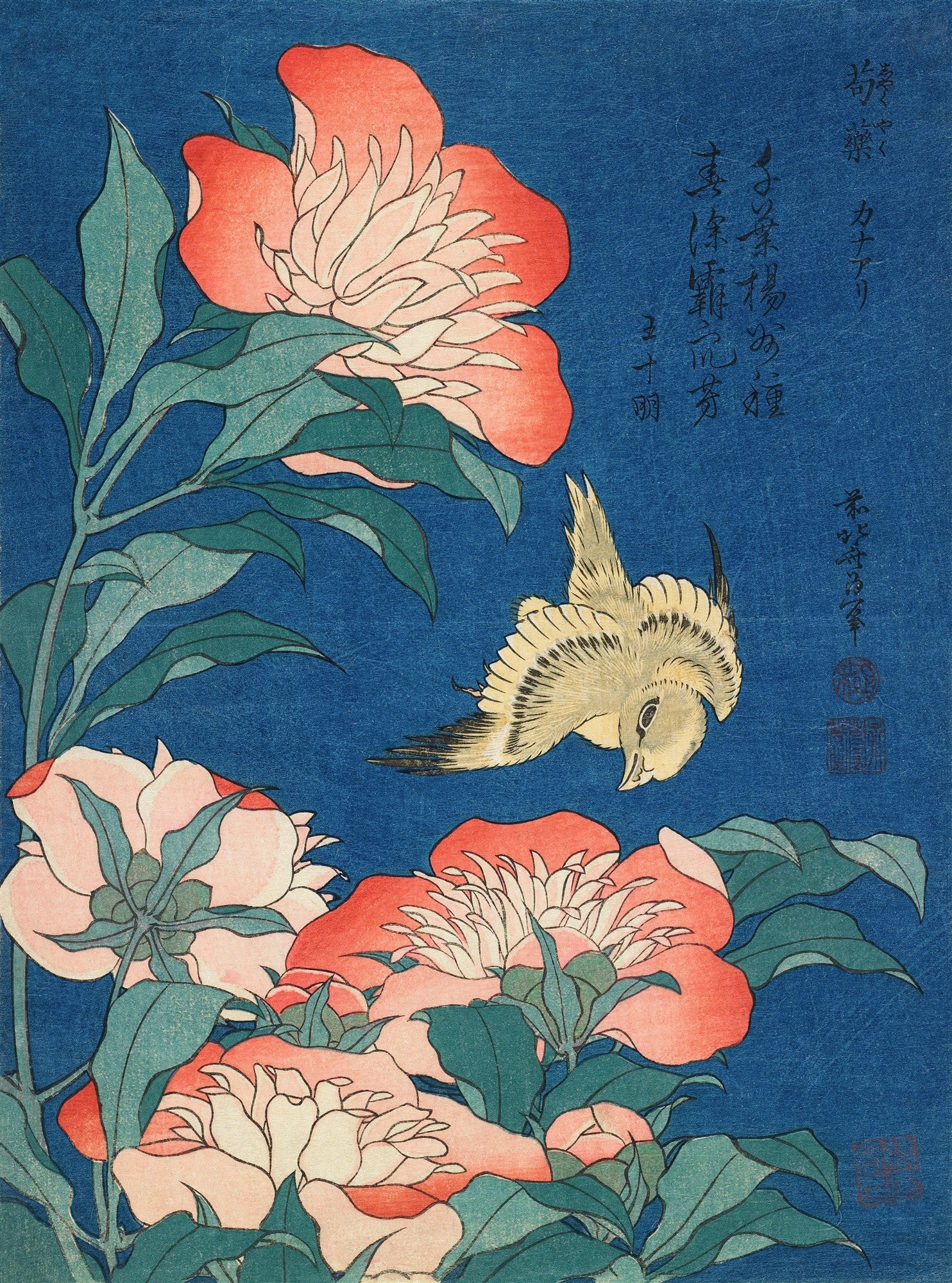 Quadro decorativo com xilogravura japonesa Peônias e Pássaro de Hokusai. Fundo azul vibrante, peônias em tons de rosa e branco, e um pássaro amarelo voando.
