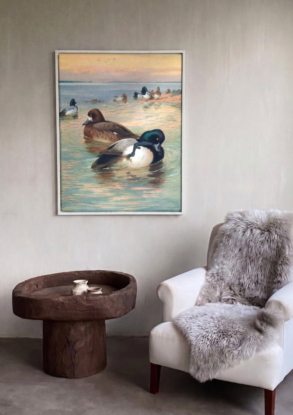Quadro Decorativo Patos no Lago - Thorburn | quadro emoldurado na parede