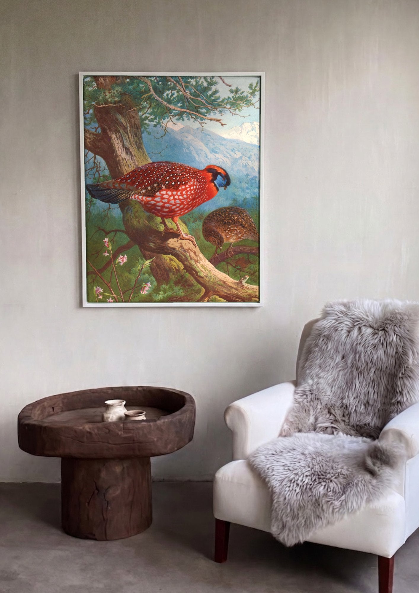 Quadro Decorativo Aves Exóticas em Montanha - Thorburn em ambiente decorado