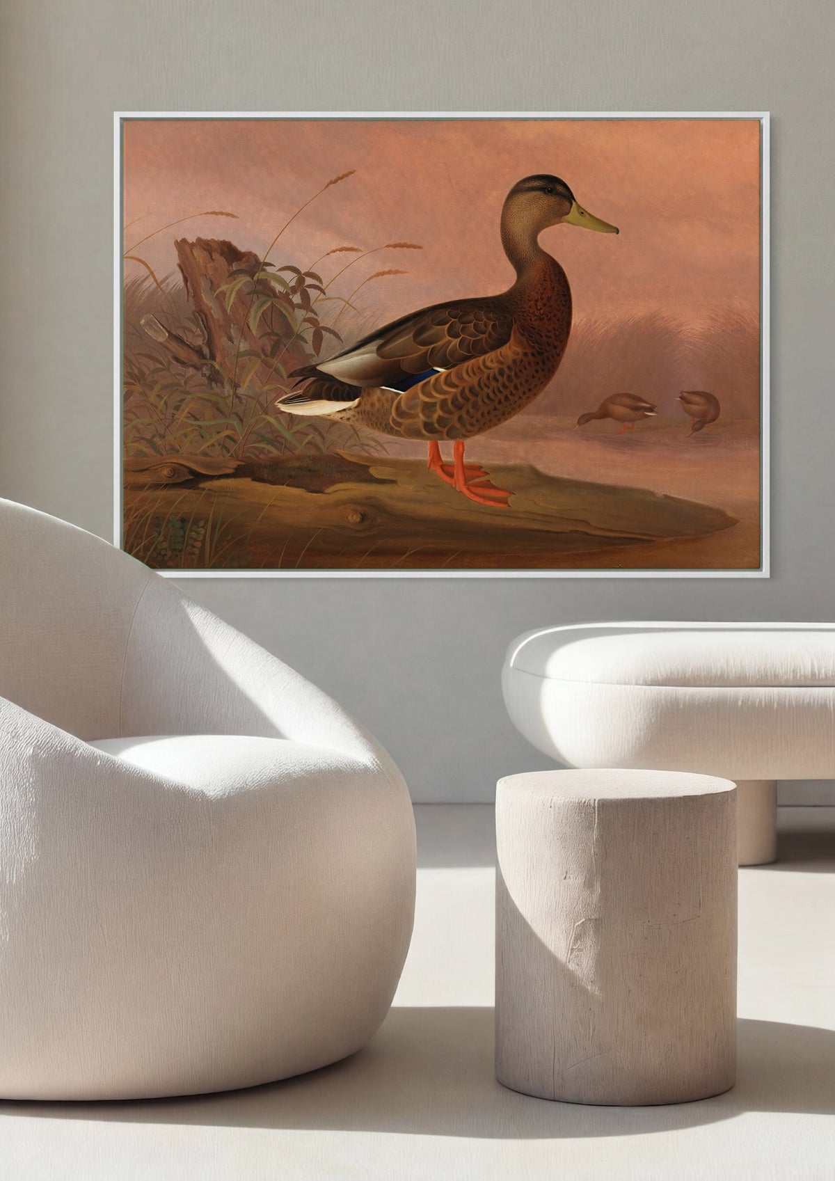 Quadro Decorativo Pato-Real - Ferdinand von Wright | quadro emoldurado na parede