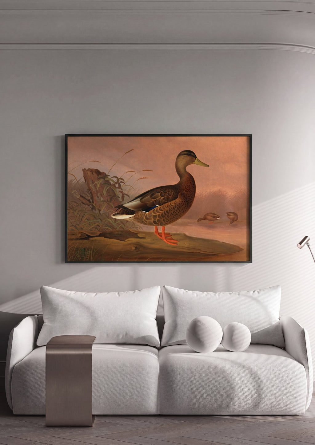 Quadro Decorativo Pato-Real - Ferdinand von Wright | quadro emoldurado na parede
