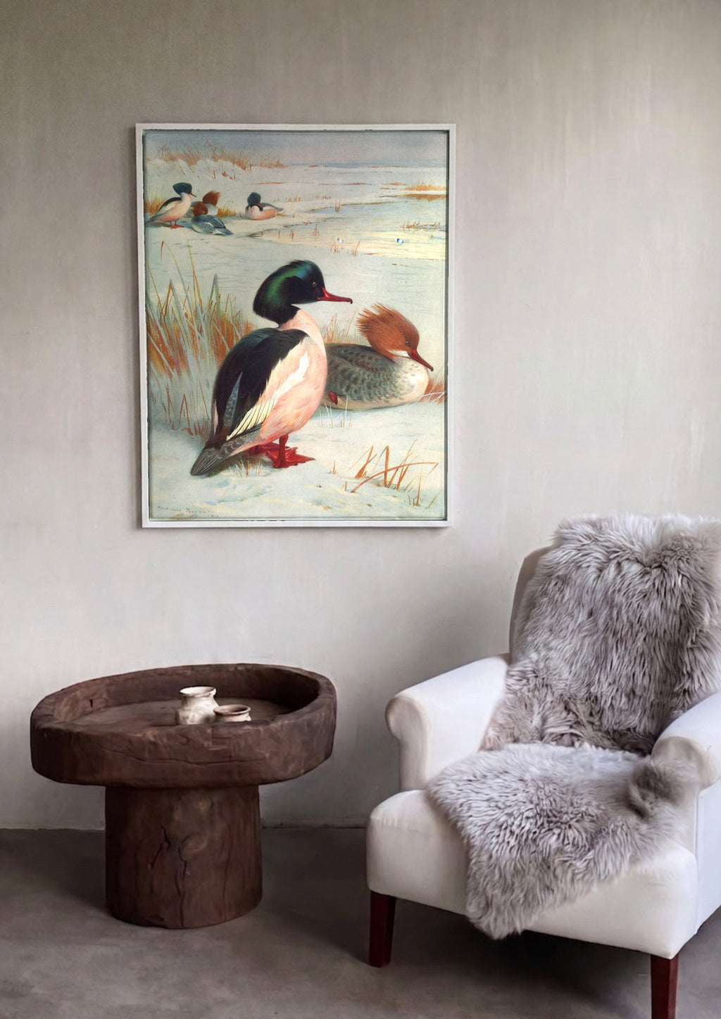 Quadro Decorativo Mergansers no Inverno - Thorburn | quadro emoldurado na parede