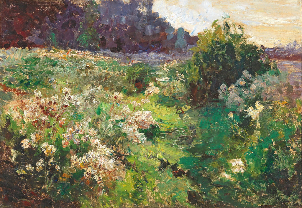 Pintura a óleo de um campo florido com pinceladas expressivas em tons de verde, branco e marrom. Flores brancas pontilham a grama densa e a luz do sol brilha ao fundo, entre folhagens escuras.