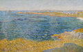 Pintura de Paul Signac, 'Port de Collioure', retratando uma paisagem marinha com vegetação costeira dourada em primeiro plano e o mar azul pontilhado em tons de verde e azul, com ilhotas e construções distantes na linha do horizonte. A obra é caracterizada por pinceladas pontilhistas.