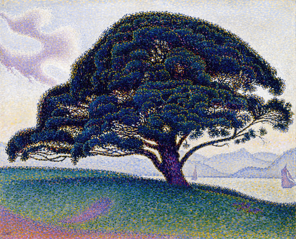 Quadro decorativo do pinheiro de Saint-Tropez, de Paul Signac, com técnica pontilhista. Um pinheiro volumoso em primeiro plano, com um lago e montanhas ao fundo, e um céu claro com nuvens discretas.