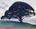 Quadro decorativo do pinheiro de Saint-Tropez, de Paul Signac, com técnica pontilhista. Um pinheiro volumoso em primeiro plano, com um lago e montanhas ao fundo, e um céu claro com nuvens discretas.