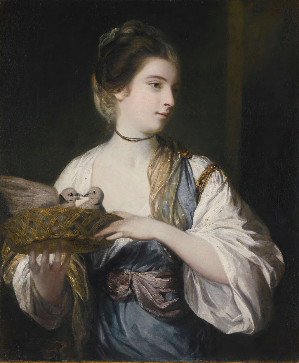 Retrato de mulher jovem com pombos em um cesto, obra de Sir Joshua Reynolds. Ela usa um vestido branco e azul e tem um olhar sereno. Fundo escuro.