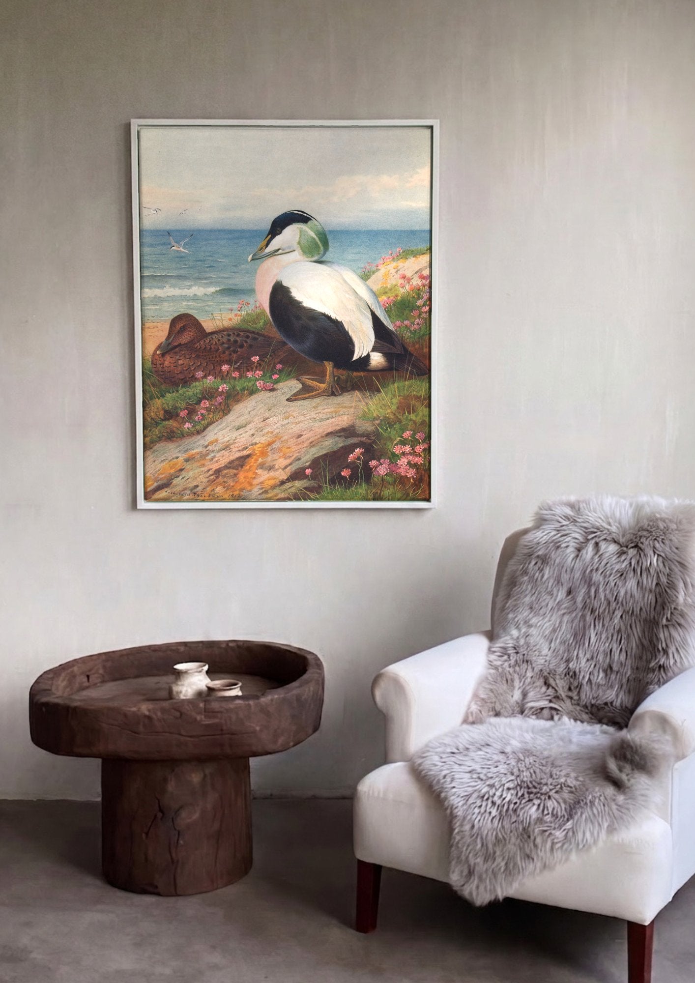 Quadro Decorativo Aves Marinhas na Costa - Thorburn em ambiente decorado