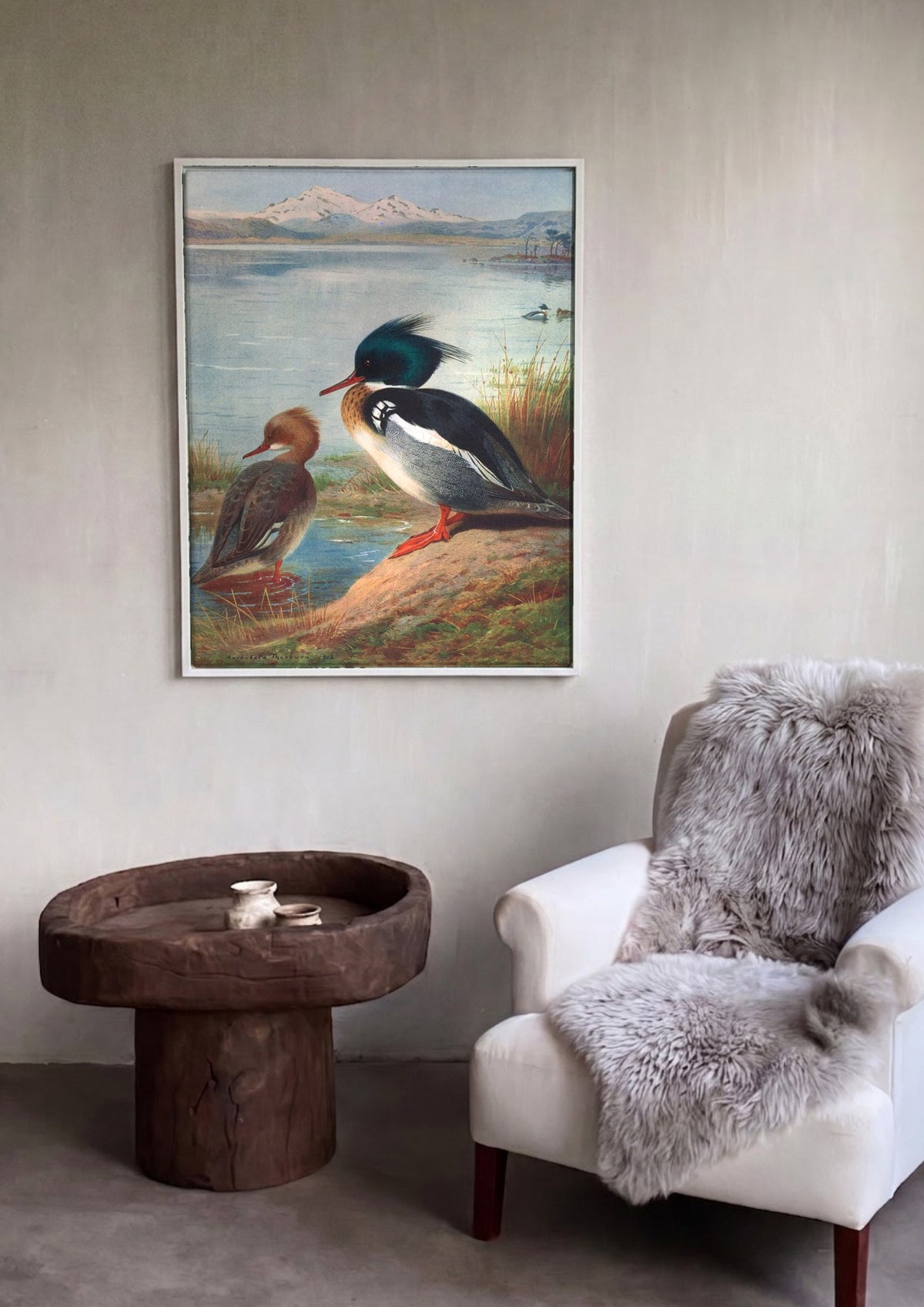 Quadro Decorativo Mergansos Reais - Thorburn | quadro emoldurado na parede