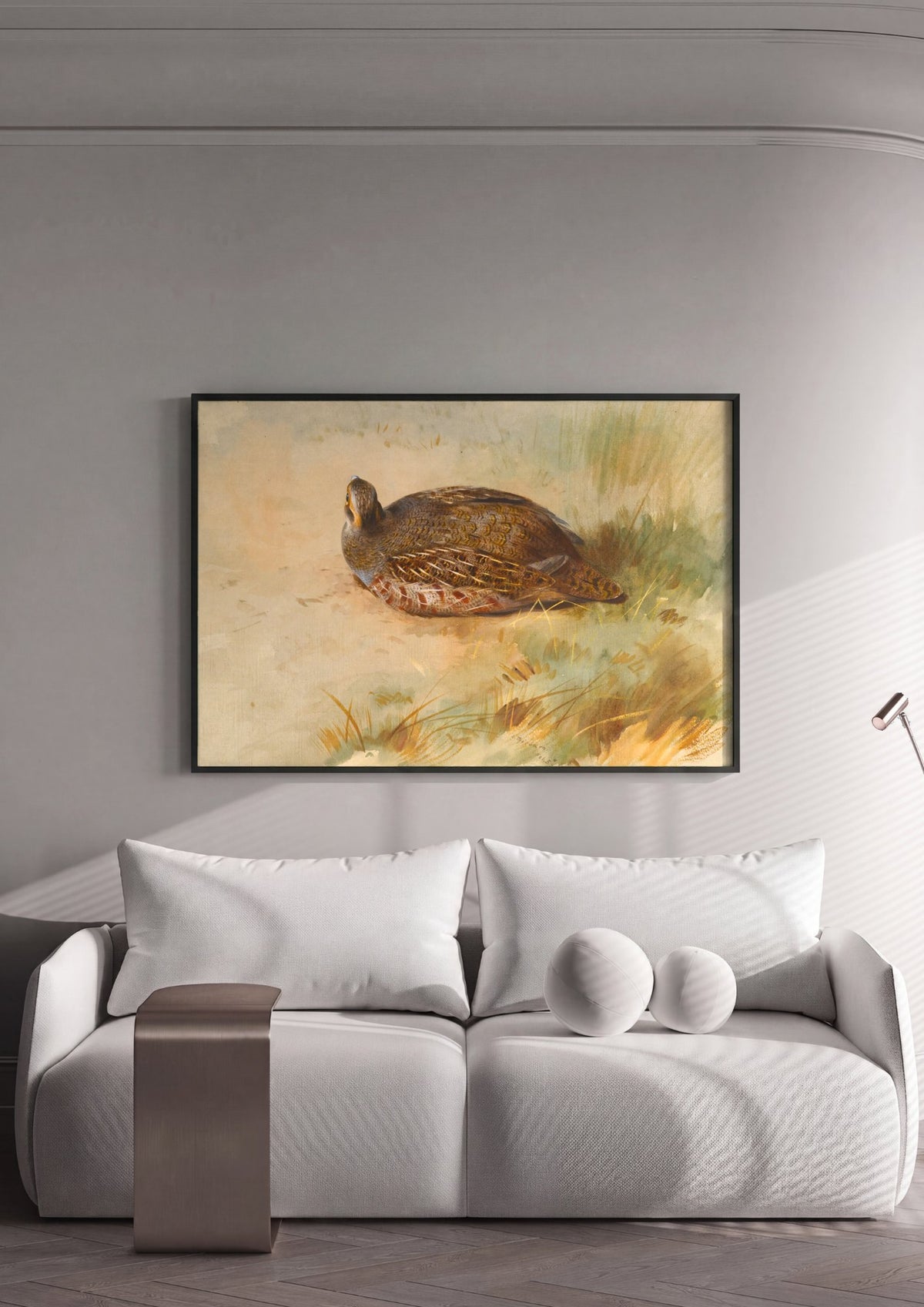 Quadro Decorativo Perdiz-cinzenta - Thorburn | quadro emoldurado na parede