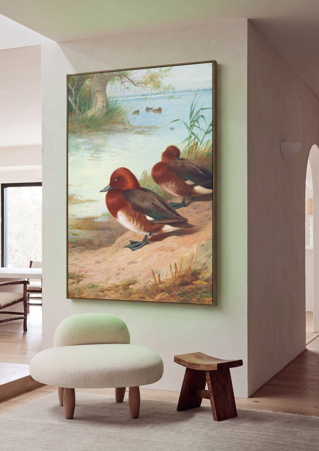 Quadro Decorativo Patos Ferrugem (Ferruginous Ducks) - Thorburn em ambiente decorado