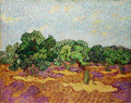 Quadro decorativo com pintura de Van Gogh de um campo de oliveiras, com árvores de folhas verdes vibrantes, troncos retorcidos e um solo com tons de ocre, roxo e marrom, sob um céu azul claro com nuvens em pontos amarelos.