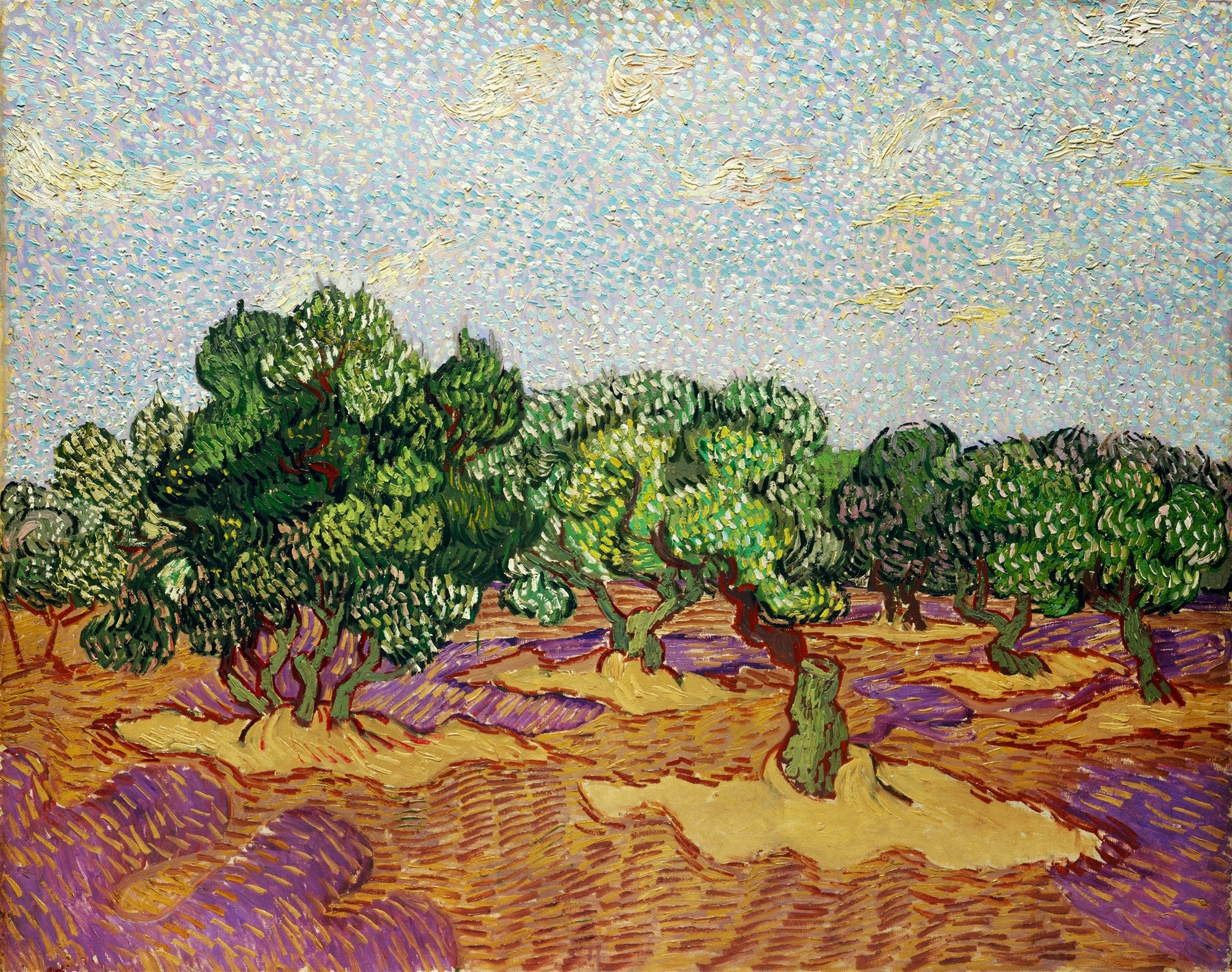 Quadro decorativo com pintura de Van Gogh de um campo de oliveiras, com árvores de folhas verdes vibrantes, troncos retorcidos e um solo com tons de ocre, roxo e marrom, sob um céu azul claro com nuvens em pontos amarelos.