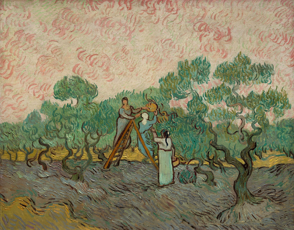 Quadro decorativo mostrando a obra A Colheita de Azeite de Van Gogh, com três figuras colhendo azeitonas em um pomar sob um céu rosado, com pinceladas vibrantes