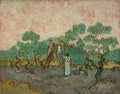 Quadro decorativo mostrando a obra A Colheita de Azeite de Van Gogh, com três figuras colhendo azeitonas em um pomar sob um céu rosado, com pinceladas vibrantes