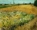 Quadro de Van Gogh com campo de trigo dourado, pinceladas vibrantes em tons de amarelo, verde e azul, com uma casa branca ao fundo e árvores esguias sob um céu claro.