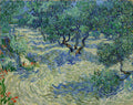 Impressão fine art de 'Oliveiras com Céu Amarelo e Sol' de Vincent van Gogh, mostrando oliveiras retorcidas sob um céu vibrante em tons de verde, azul e amarelo, com pinceladas expressivas.