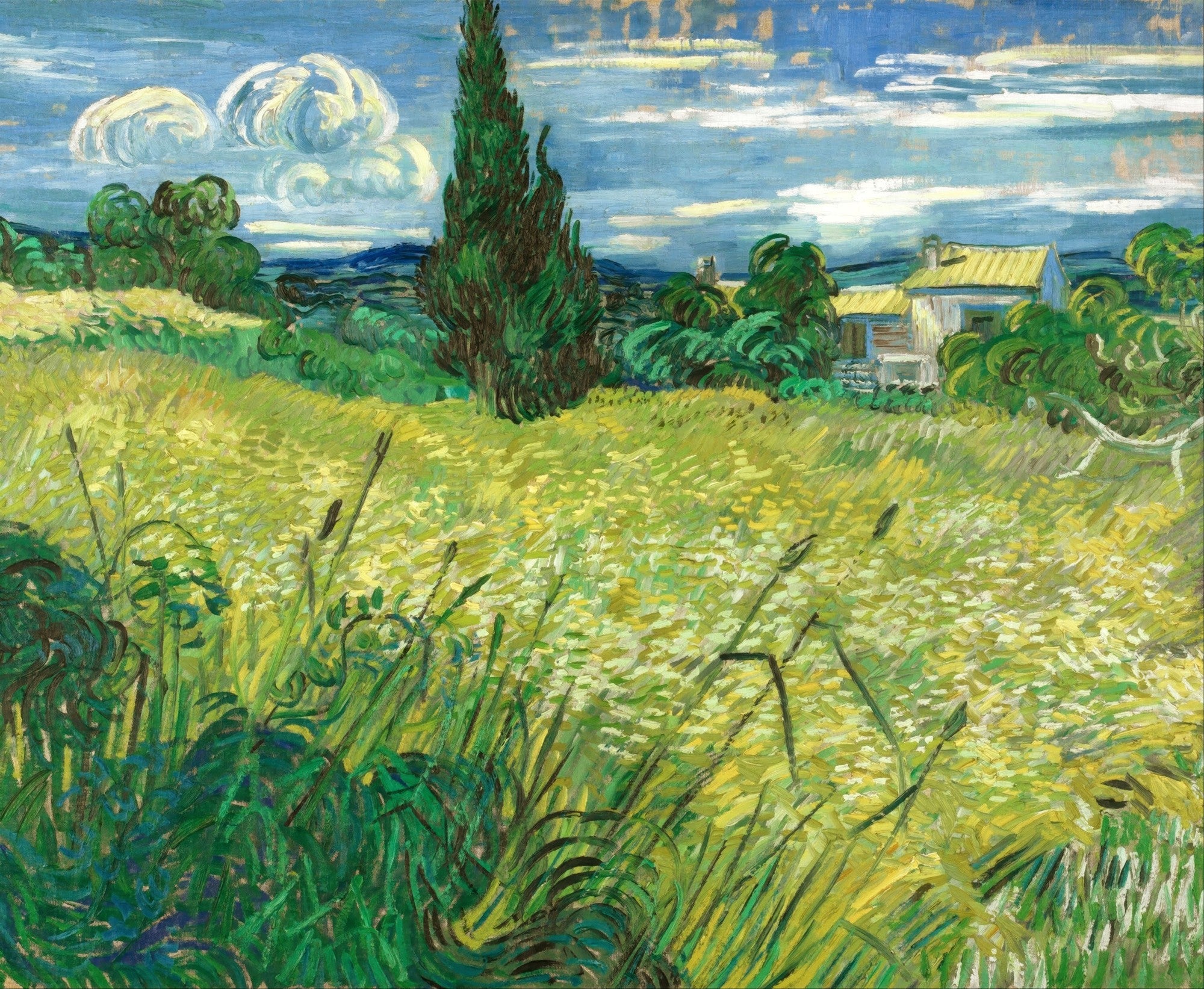 Quadro decorativo de Vincent van Gogh, "Campo de Trigo com Cipreste", mostrando um campo amarelo vibrante, um cipreste verde escuro e um céu azul com nuvens brancas e onduladas, sob uma luz dramática.