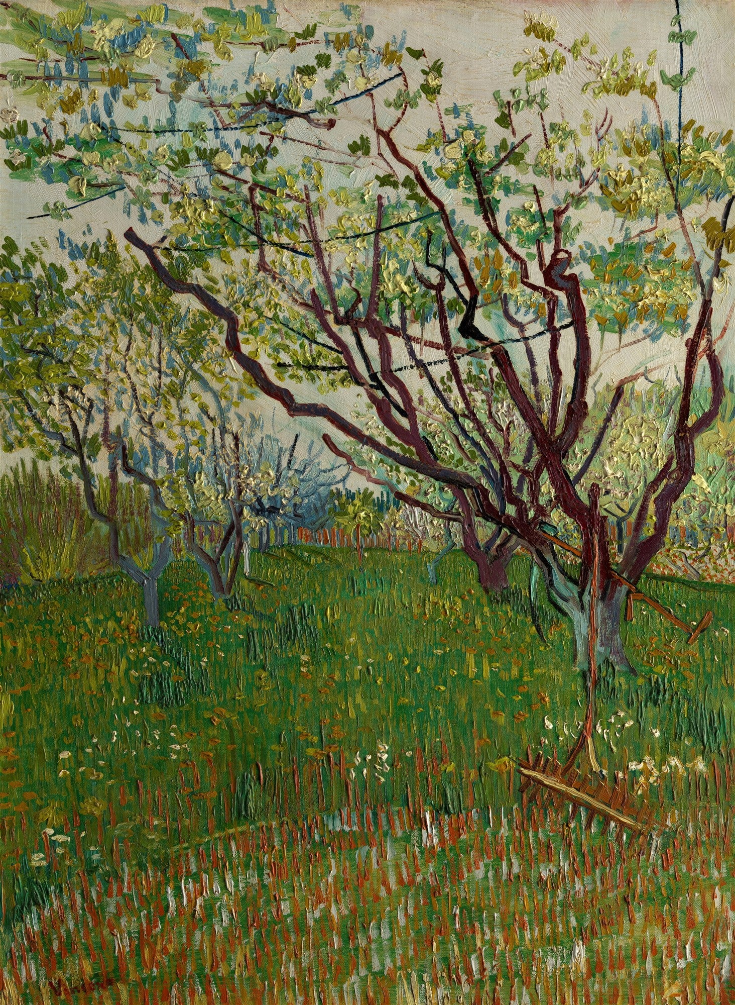 Quadro decorativo de um pomar em flor de Vincent van Gogh, com árvores de troncos marrons e folhagem verde-clara e amarela, sobre um campo verde pontilhado de flores brancas e vermelhas, sob um céu claro. A pintura exibe pinceladas vigorosas e texturizadas.