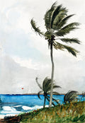 Quadro decorativo com pintura em aquarela de palmeiras curvadas pelo vento em uma praia tropical, com mar azul e um farol ao fundo, obra de Winslow Homer.