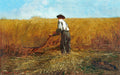 Quadro decorativo mostrando um homem segando um campo de trigo sob um céu azul. A cena é vibrante com tons de amarelo dourado e azul.