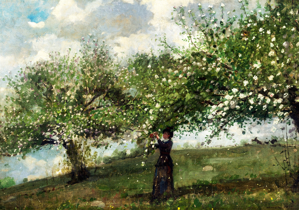 Pintura a óleo de Winslow Homer, 'Spring', que retrata uma mulher de costas, em um pomar florido, com árvores de flores brancas e rosadas sob um céu azul claro com nuvens brancas. O chão é de grama verde, e a luz do sol ilumina a cena.