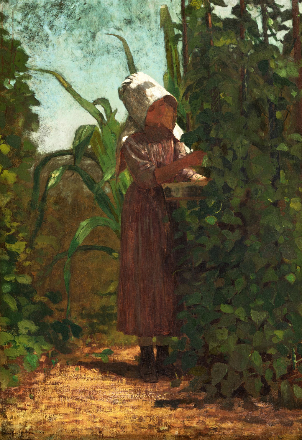 Uma mulher vestindo um vestido marrom e um gorro branco está colhendo feijões em um campo verde, com plantas de milho ao fundo e folhagens densas ao redor. A luz do sol ilumina o chão. É uma pintura a óleo de Winslow Homer.